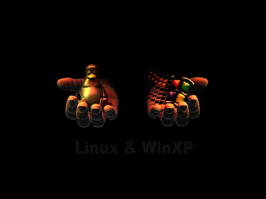 381084 (a): :1024x768